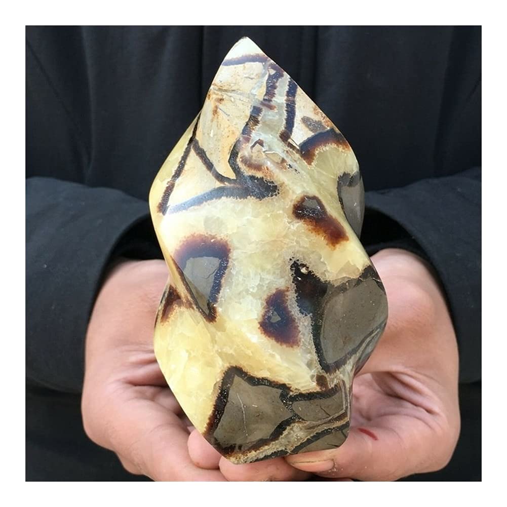 Amazon.co.jp: 天然水晶の原石 ストーンクラフトラージドラゴン